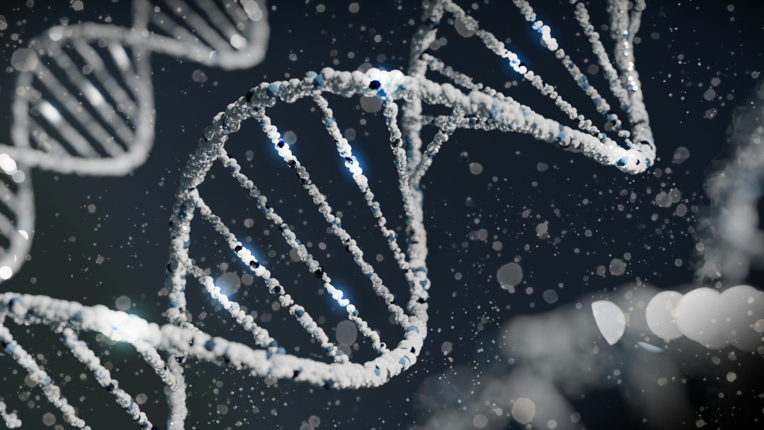 Creators aren’t persuaders, they’re mutation engines - MediaCat UK
